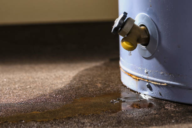 Best 24/7 water damage repair  in Preston, TX