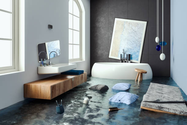 Best Flood restoration services  in Preston, TX