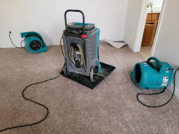 Best Emergency water extraction  in Preston, TX