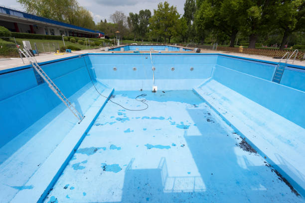 Best Mold removal after water damage  in Preston, TX
