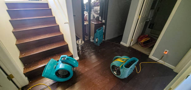 Best Local water damage restoration  in Preston, TX