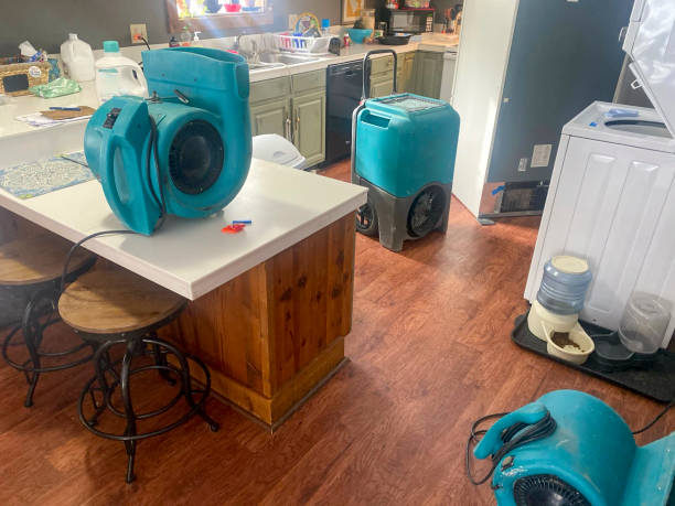 Best Flooded house restoration  in Preston, TX