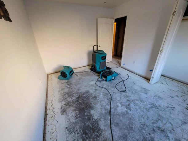 Reliable Preston, TX Water damage restoration Solutions