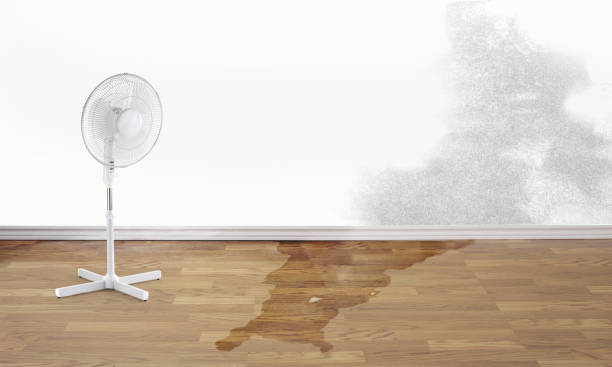 Best Commercial water damage restoration  in Preston, TX