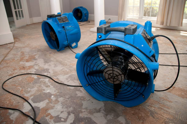 Best Ceiling water damage repair  in Preston, TX