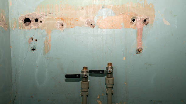 Best Local water damage restoration  in Preston, TX