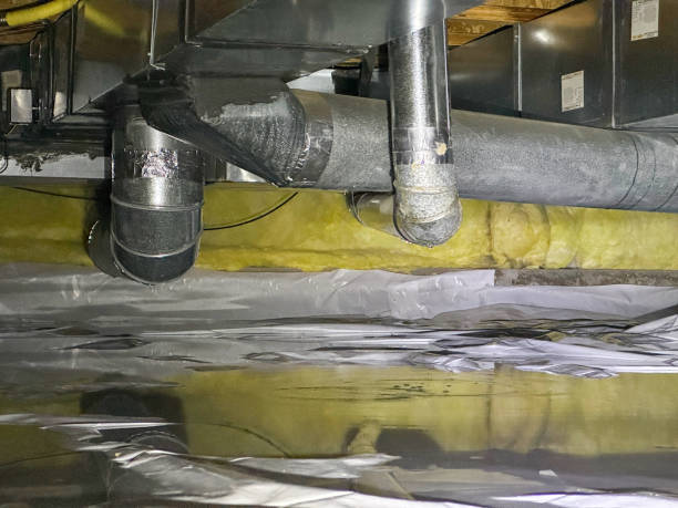 Best Sewage cleanup and water damage restoration  in Preston, TX