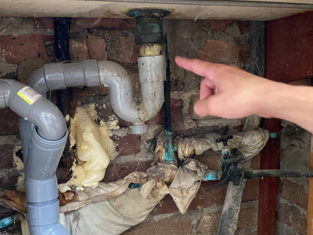 Best Water damage cleanup near me  in Preston, TX