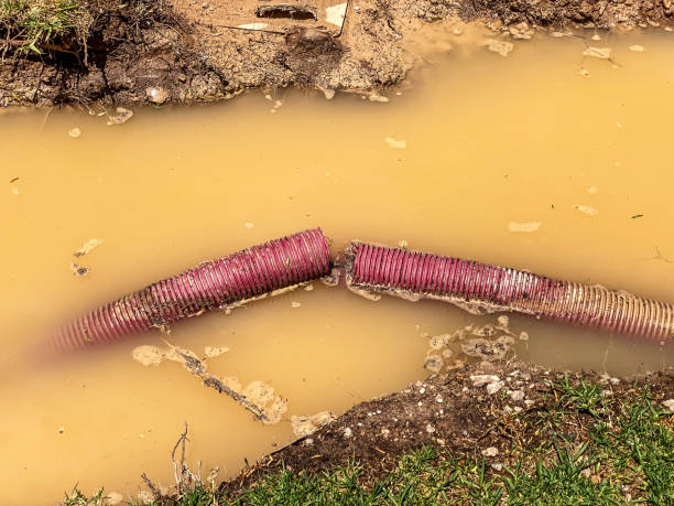 Best Water damage restoration near me  in Preston, TX