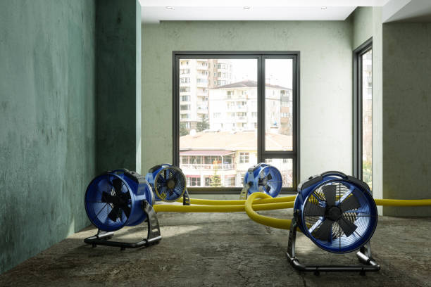 Water damage restoration process in Preston, TX